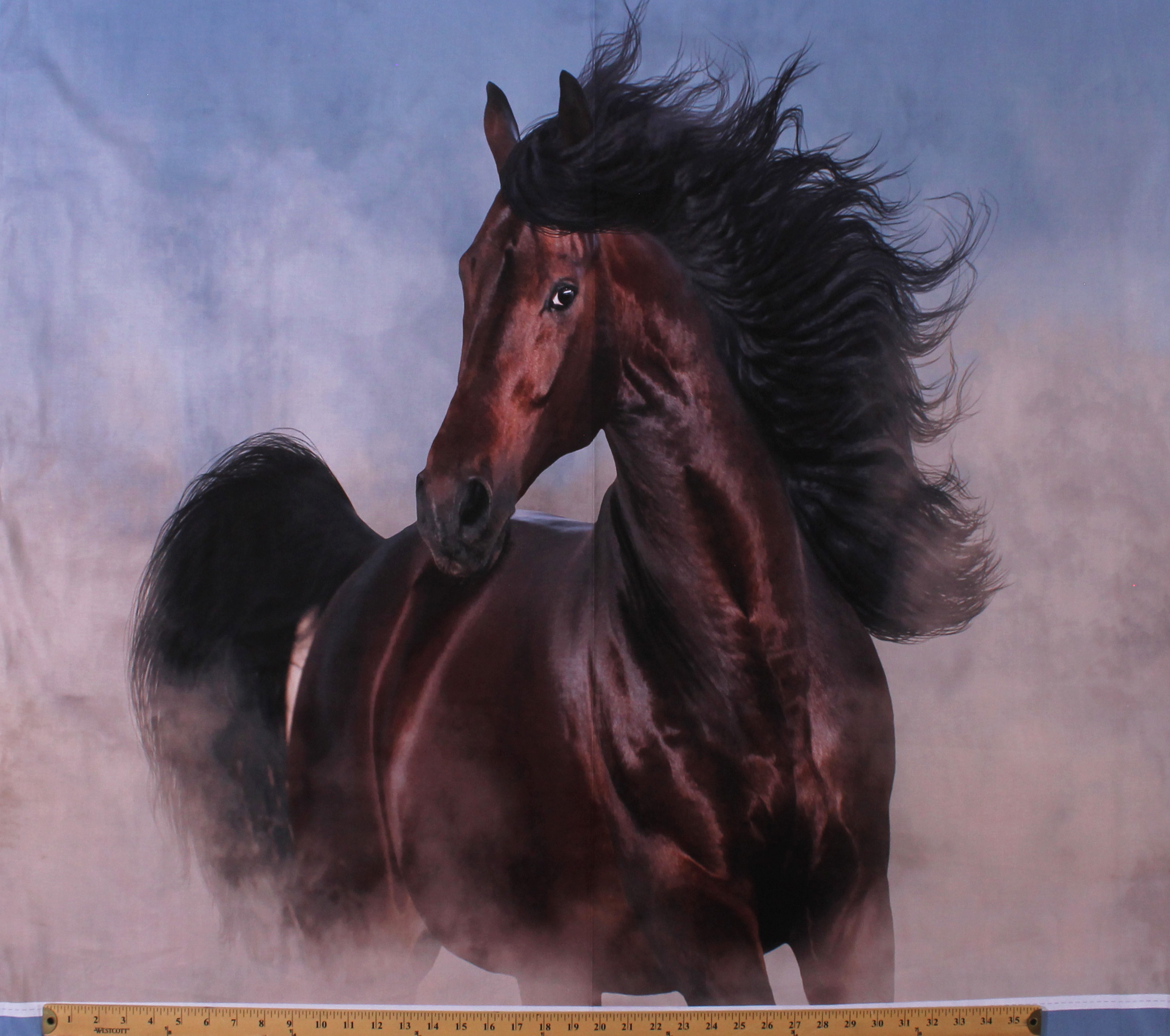 36.5" X 44" Panel Wild Stallion Horses Running Galloping Equestrian
