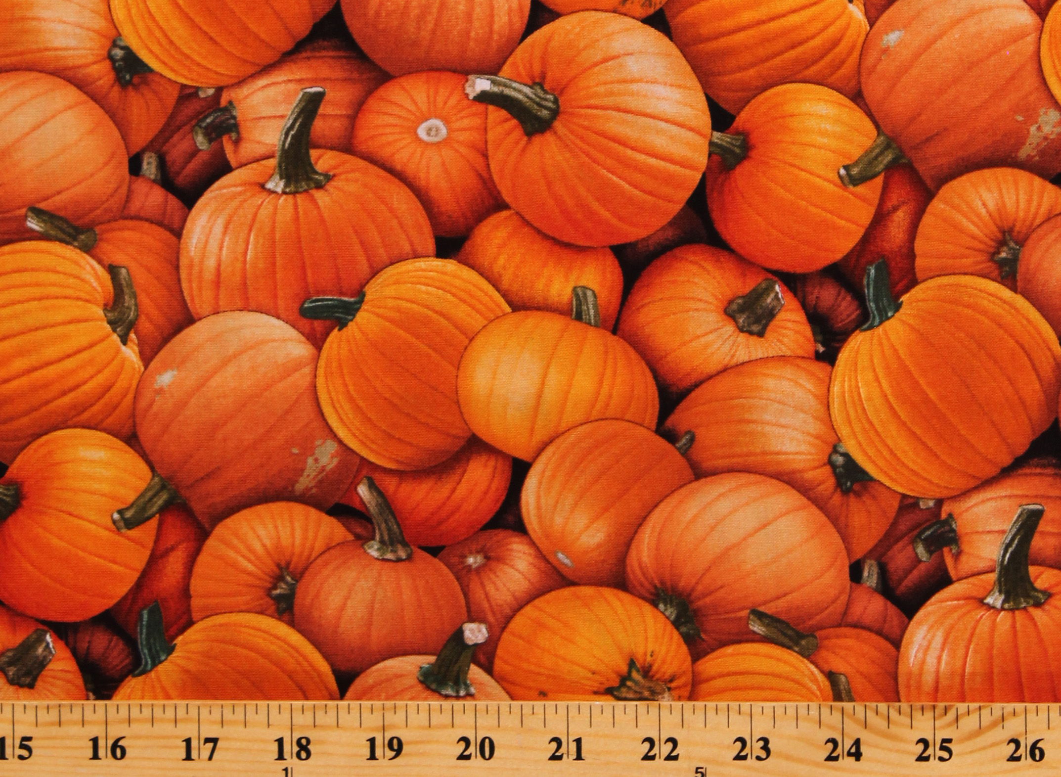 Cotton Pumpkins Fall Autumn Thanksgiving Harvest Time Orange Cotton