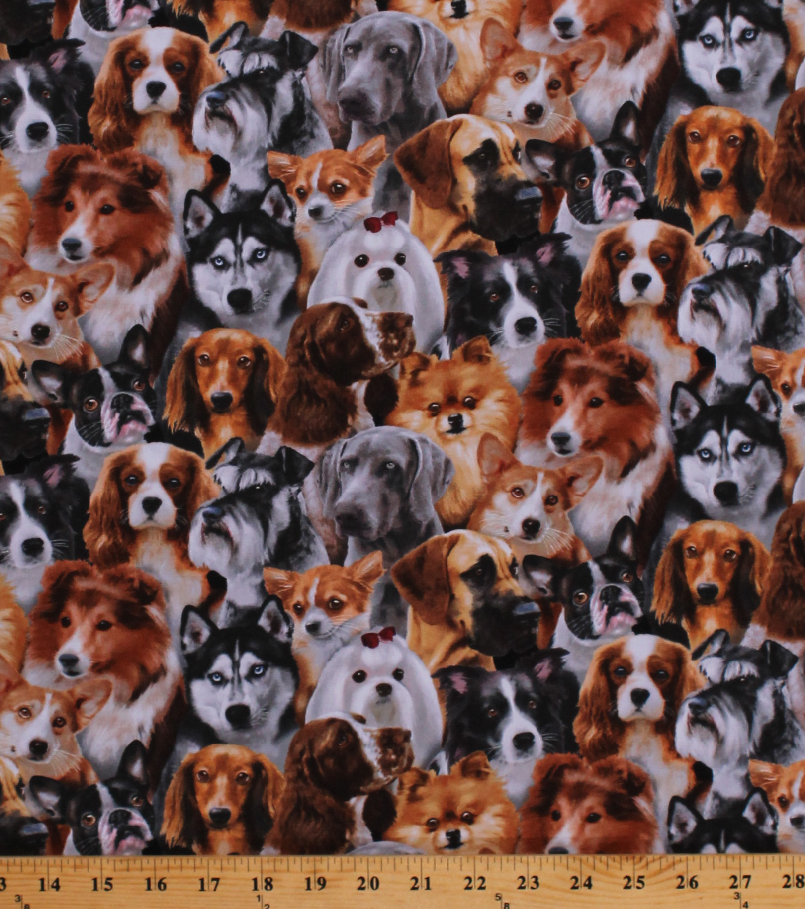 Cotton Dogs Allover Dog Breeds Collies Huskies Welsh Animals Pets