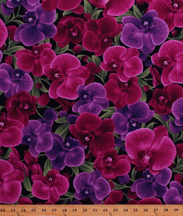Cotton Orchids Exotic Flowers Floral Blossoms Blooms Gardens Gardening