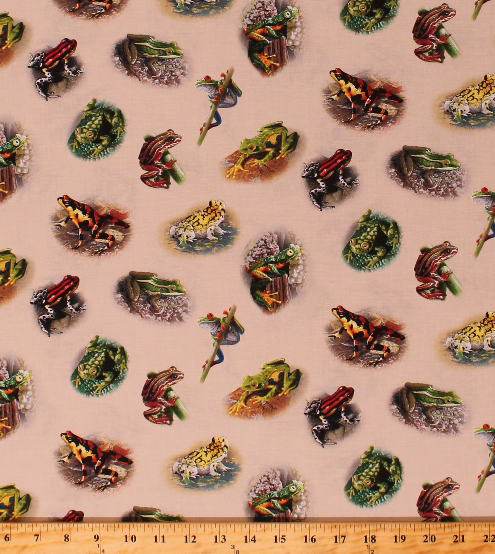 Cotton Amazing Frogs Frog Amphibians Animals Ecru Cotton Fabric Print