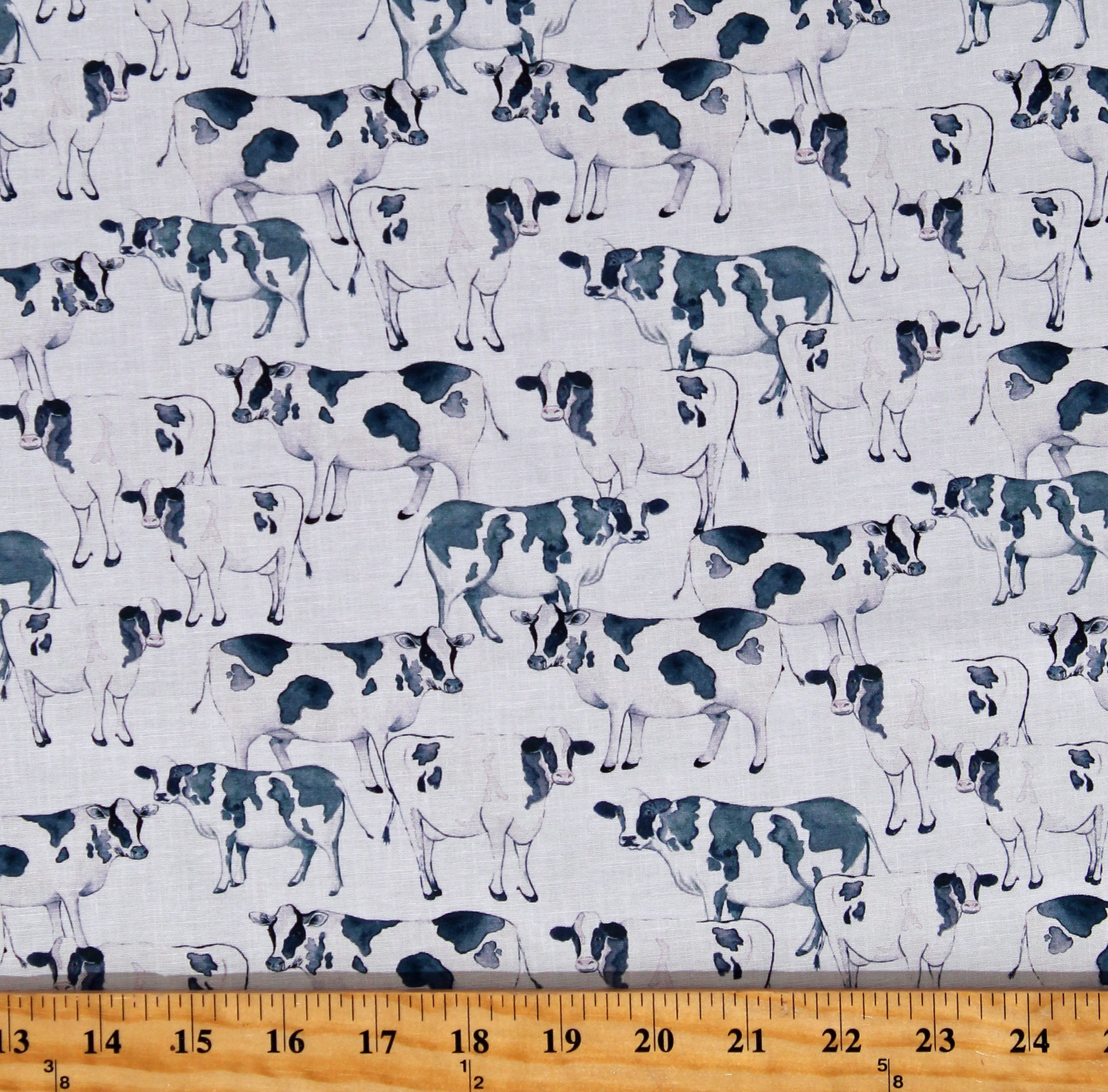 Cotton Cows Cattle Herd Farm Animals Dairy Calves Moo Bulls White