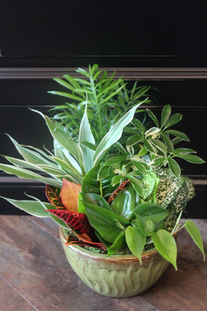 Indoor Planters Floral Designs of Mount Joy
