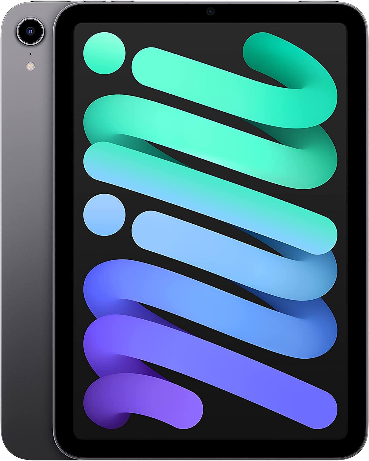 iPad Mini 6 256GB WiFi + Cellular (Unlocked) Space Gray Gadget