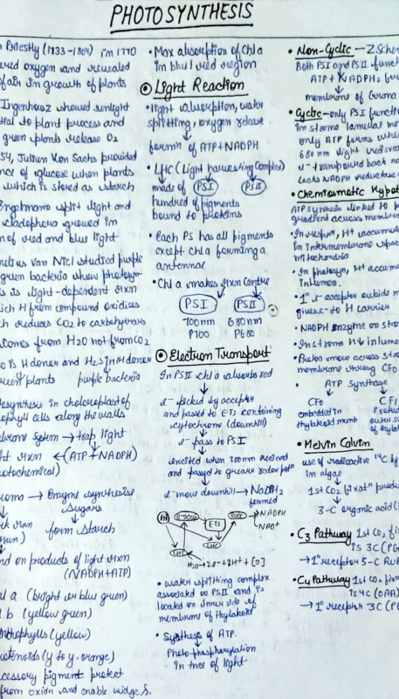 Short Notes Class 12 Chemistry Polymers Neet Notes Shop Handwritten