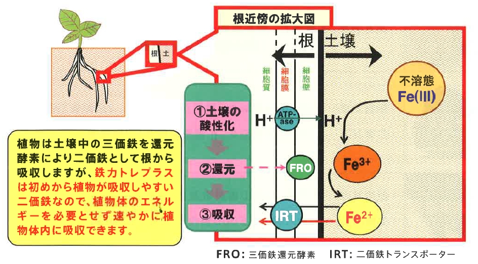 〔二価鉄＋トレハロース〕鉄力トレプラス（1L) 本格農業用
