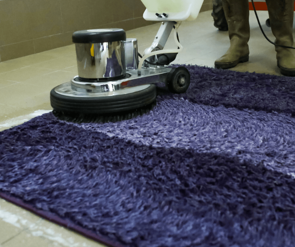 Carpet Cleaning Services Support Local Mountain View