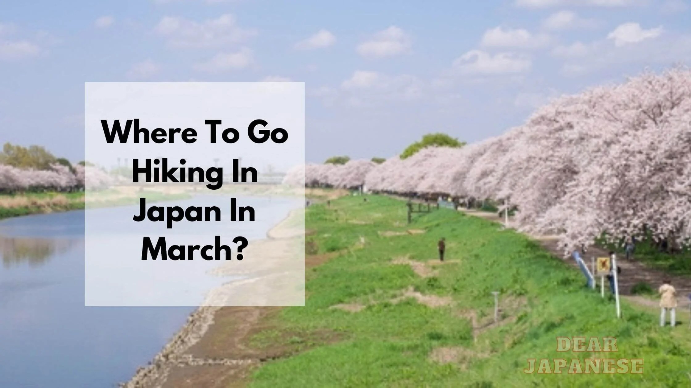 Where To Hike In Japan In March? 15 Best Hikes In Japan For March