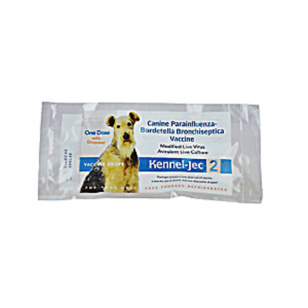 Kennel Cough Vaccine (Bordatella) Kenai Feed