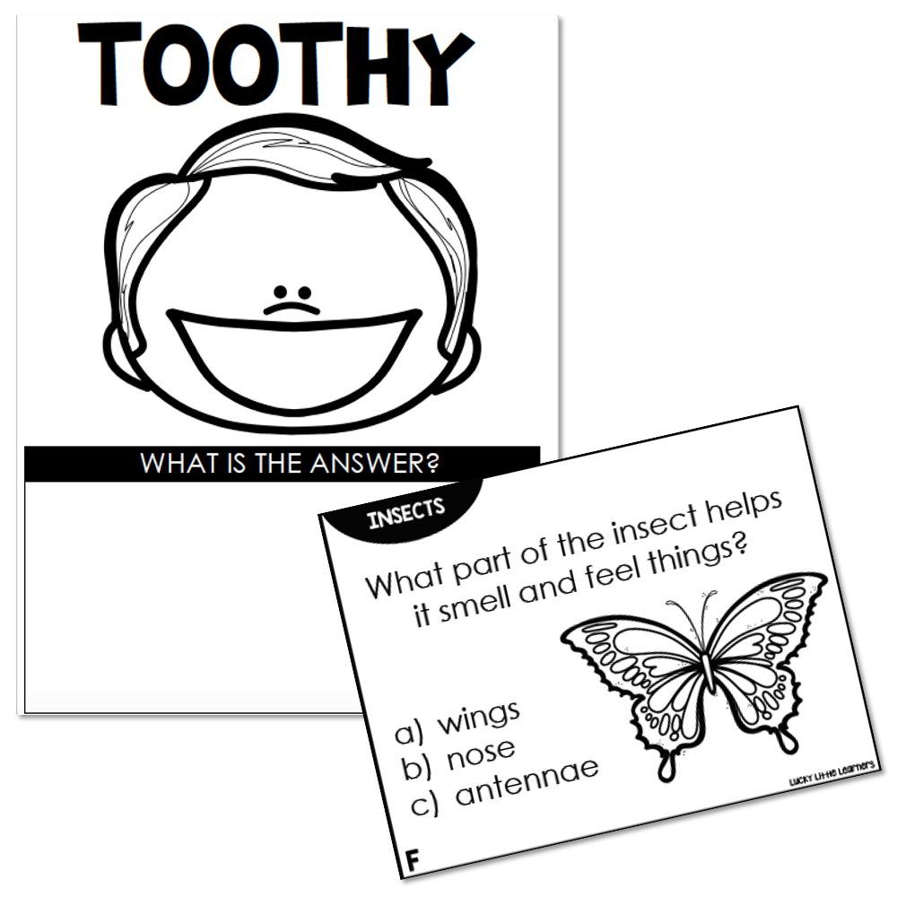 Toothy Science 2nd Grade Insects Lucky Little Learners