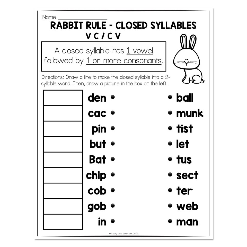 Multisyllable Words Book Rabbit Rule Closed Syllable Matching