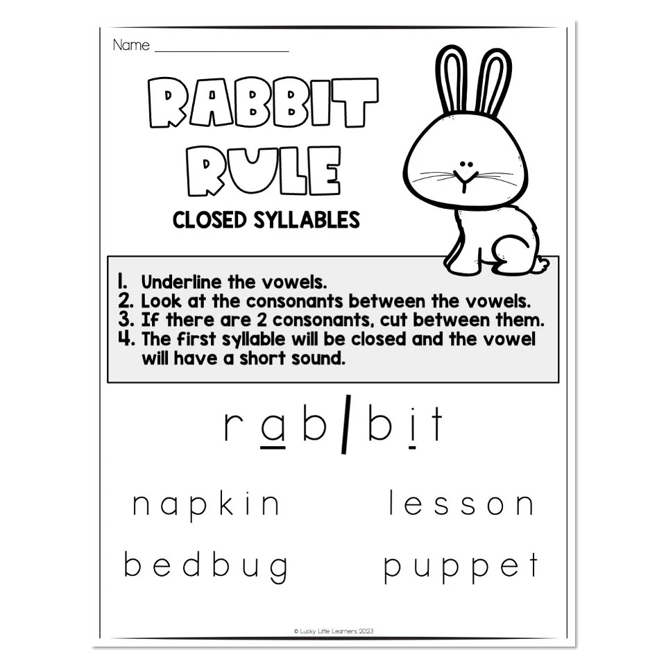 Multisyllable Words Book Rabbit Rule Overview Closed Syllable