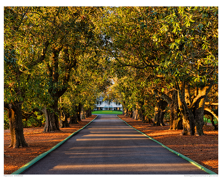 Masters Shop Magnolia Lane