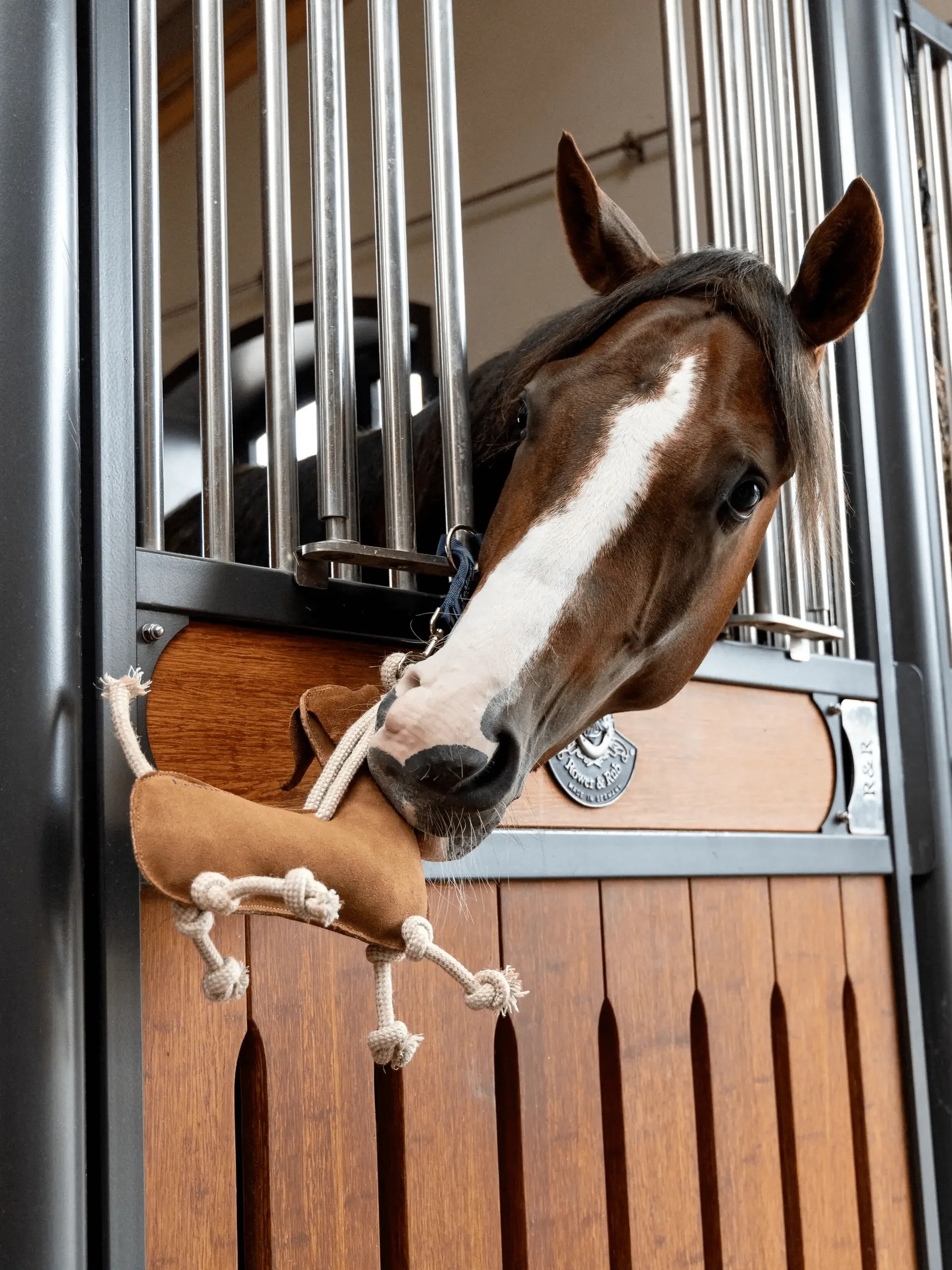 Coolers & Quarter Sheets Olson's Tack Shop