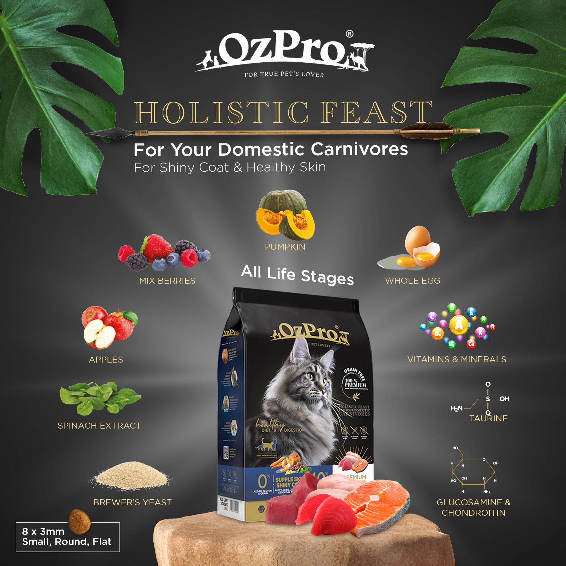 OzPro Super Premium 40 Animal Protein / Grain Free Cat Kibbles All Life Stages (500g) OzPro