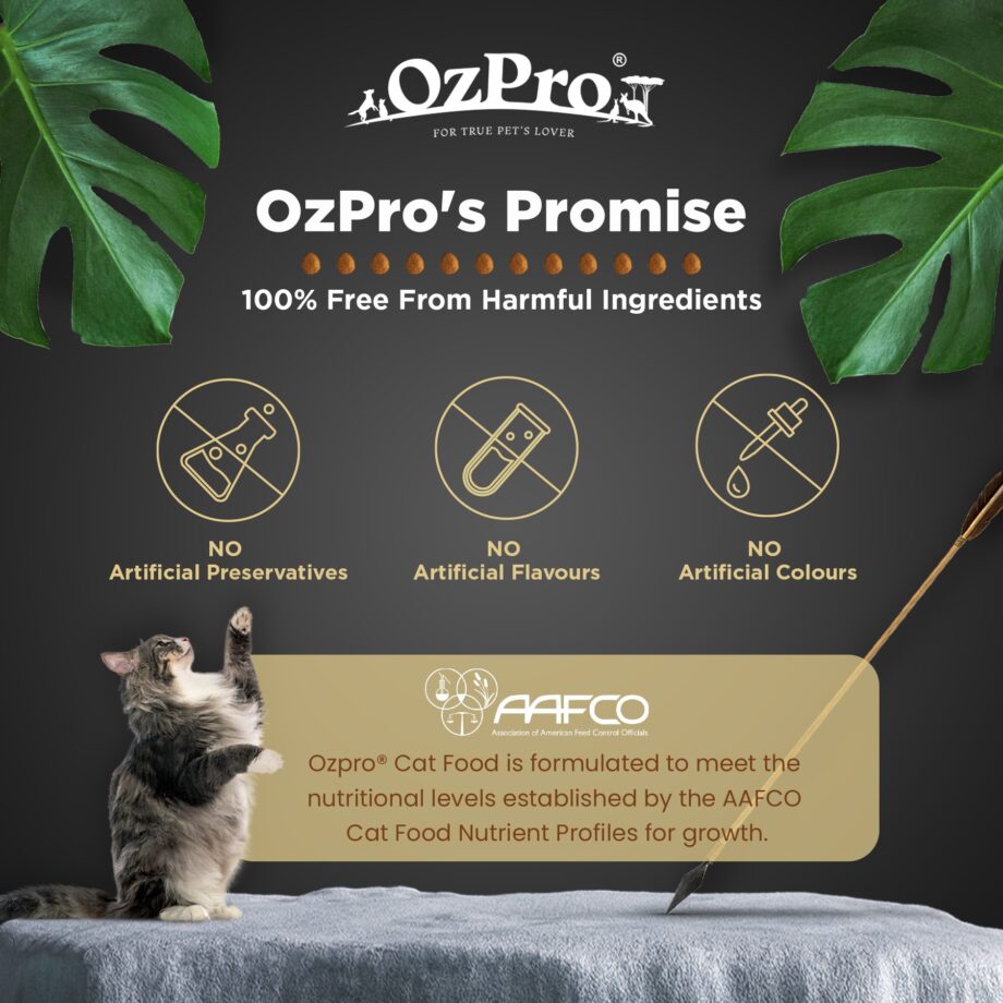 OzPro Super Premium 40 Animal Protein / Grain Free Cat Kibbles All