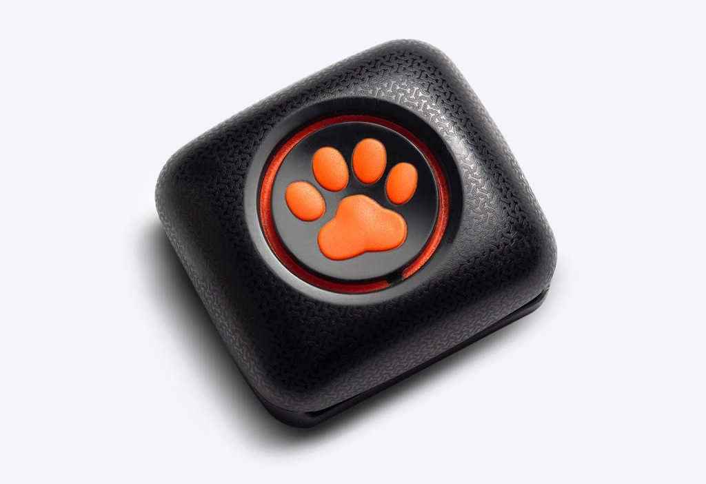 PitPat Dog Activity Monitor PitPat