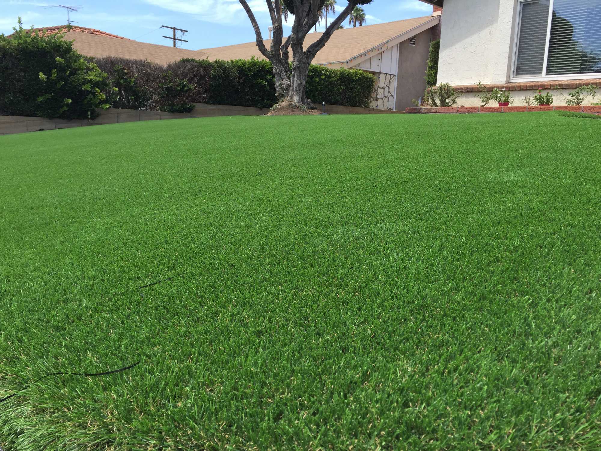Artificial Turf Bluegrass Light Purchase Green Artificial Grass