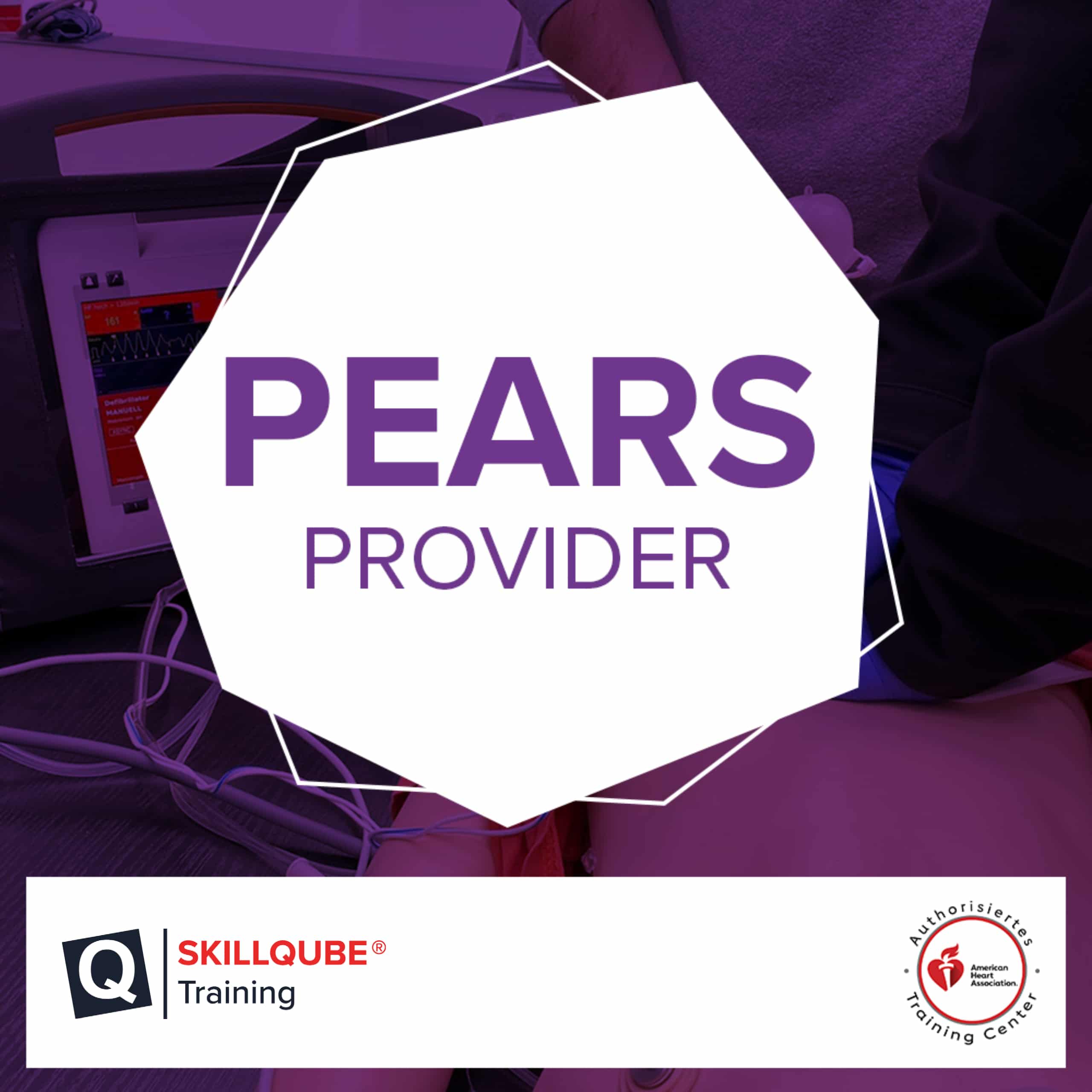 PEARS Provider Kurs (AHA) SKILLQUBE Training