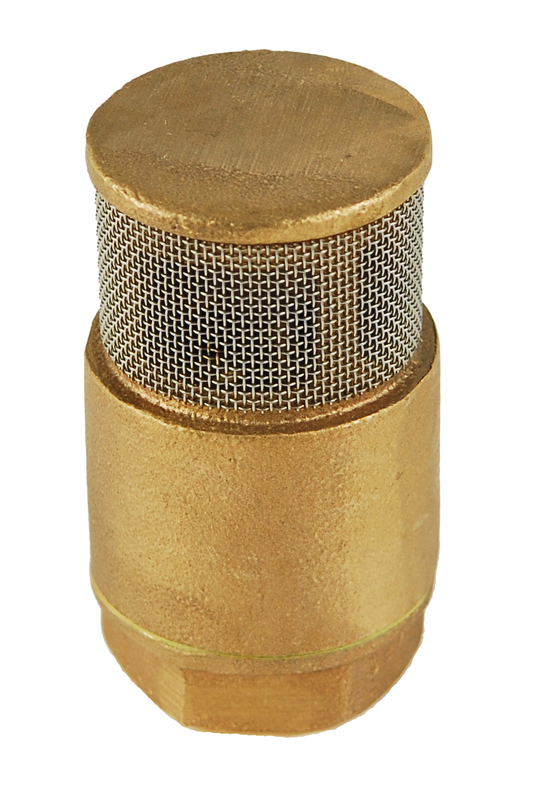 Morrison 334 11/2" Single Poppet Brass Foot Valve
