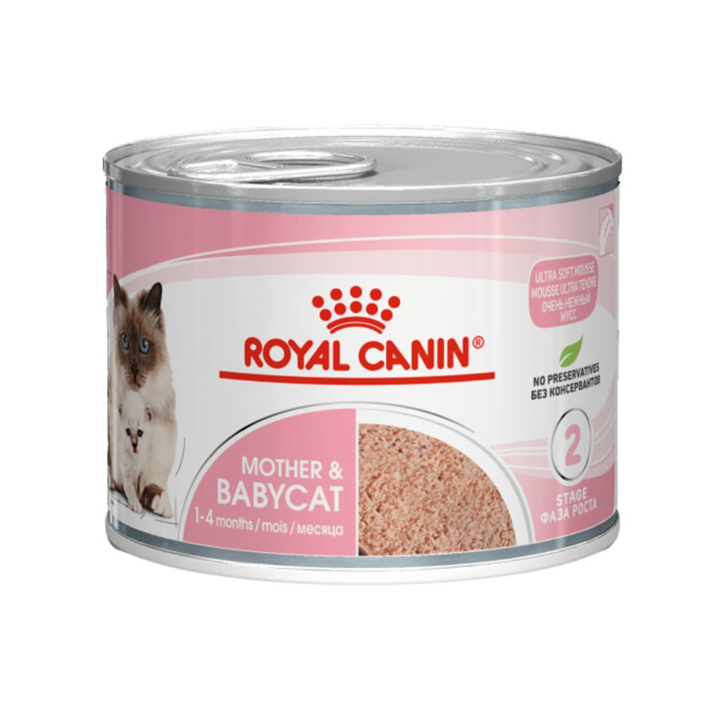 Buy Royal Canin Mother And Babycat Mousse Wet Cat Food 24 X 100g Cans