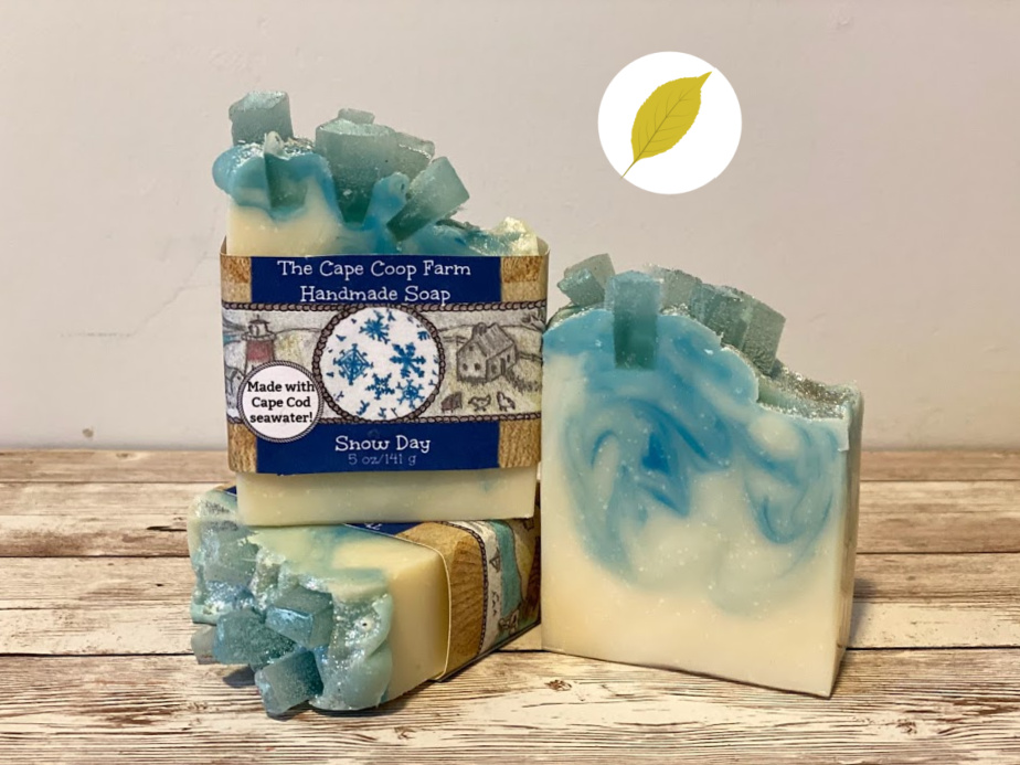 Snow Day The Cape Coop Farm Soap Shop