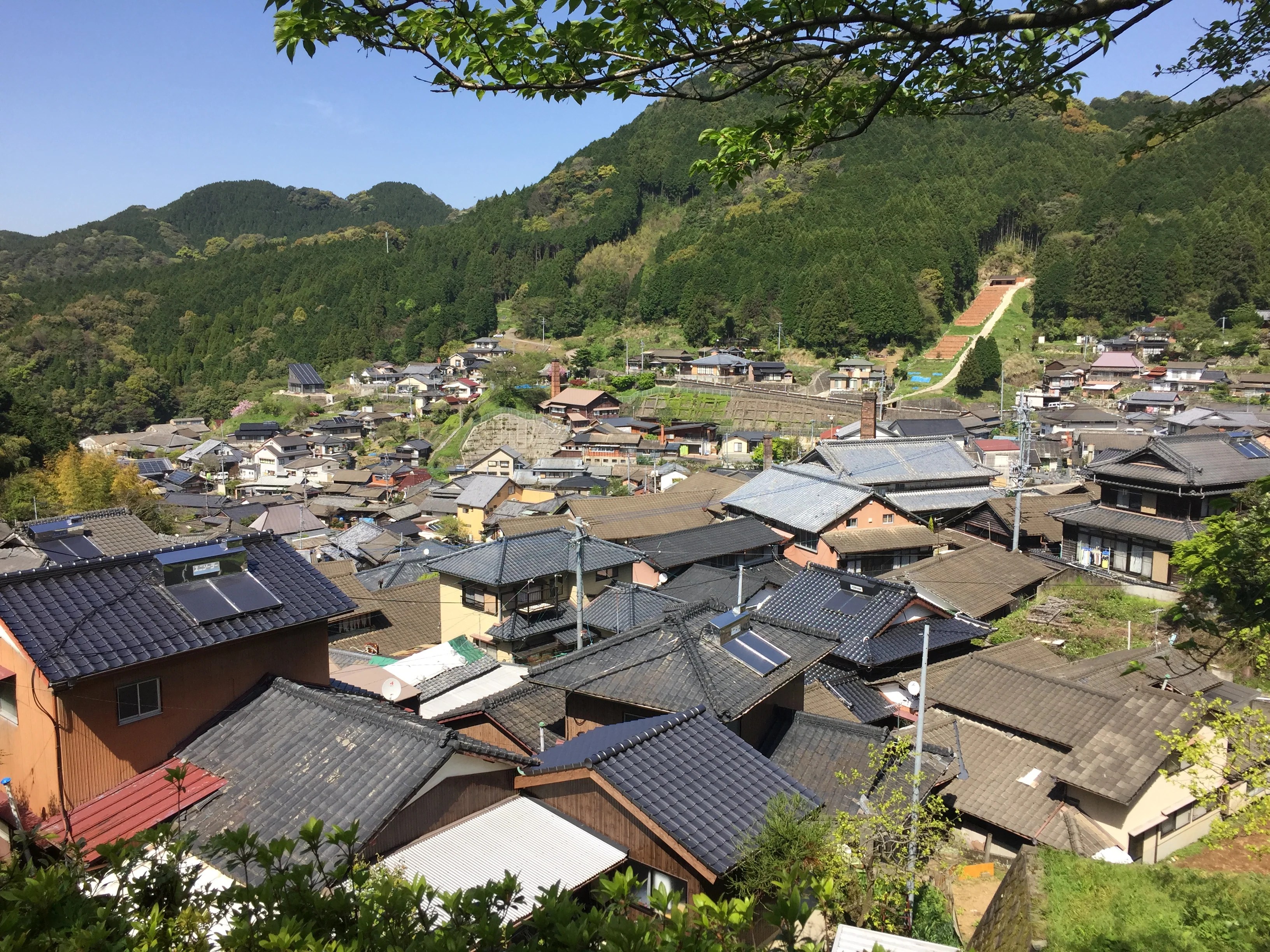 Mitsuru Koga Postcard Puzzle tortoise general store
