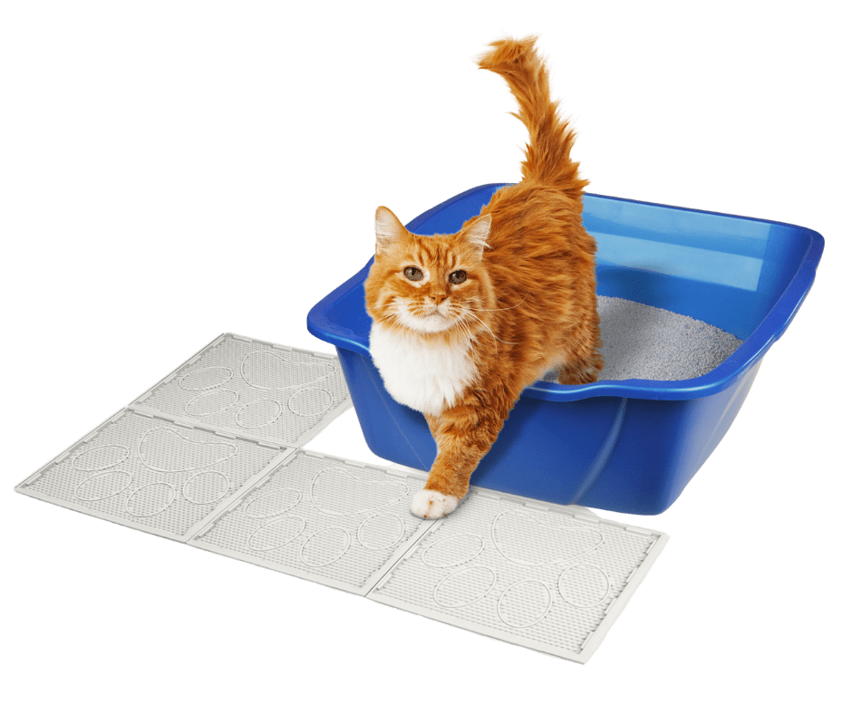 Van Ness Pet Products Store