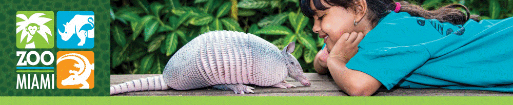 Zoo Miami Summer Camp 2023