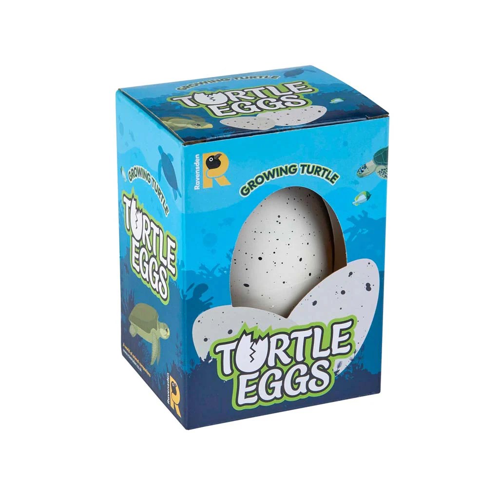 Hatch your own turtle egg ZSL Shop