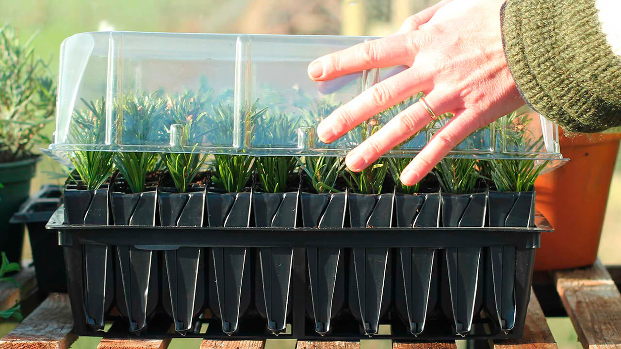 Guide to using root trainers