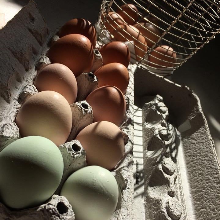 Flying W Farm Shop Baker County