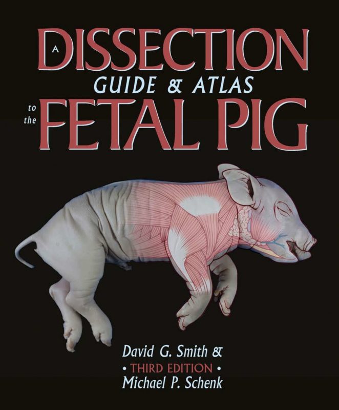 A Dissection Guide & Atlas to the Fetal Pig eBook Shopbooknow
