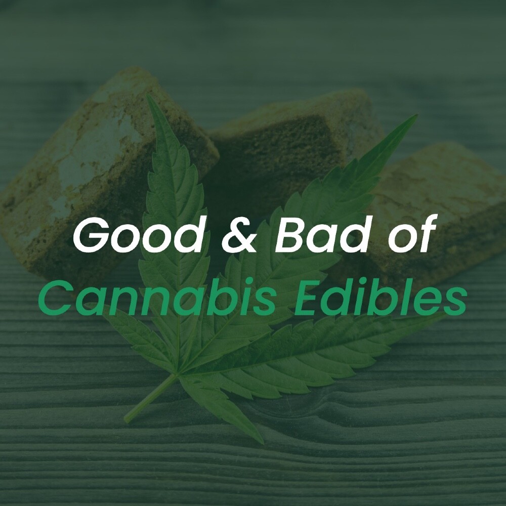 Pros and Cons of Cannabis Edibles Scarborough Dispensary