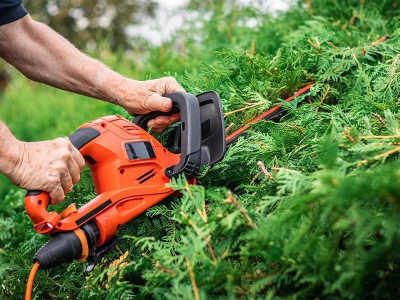 9 Best Electric Hedge Trimmers in 2024 Top Rated
