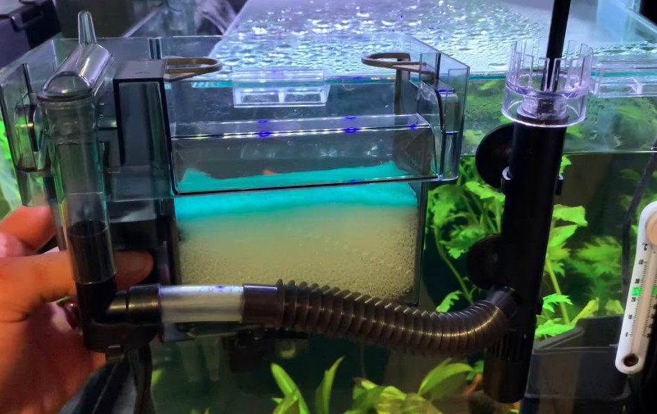 11 Best Aquarium Surface Skimmers in 2024 Top Rated Picks