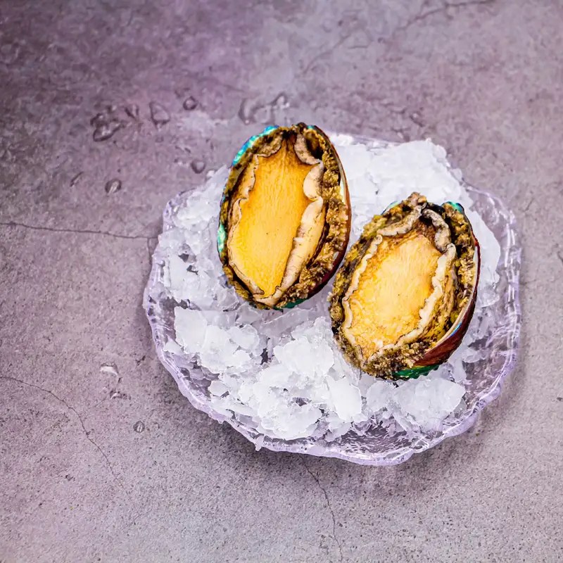 Fresh frozen abalone