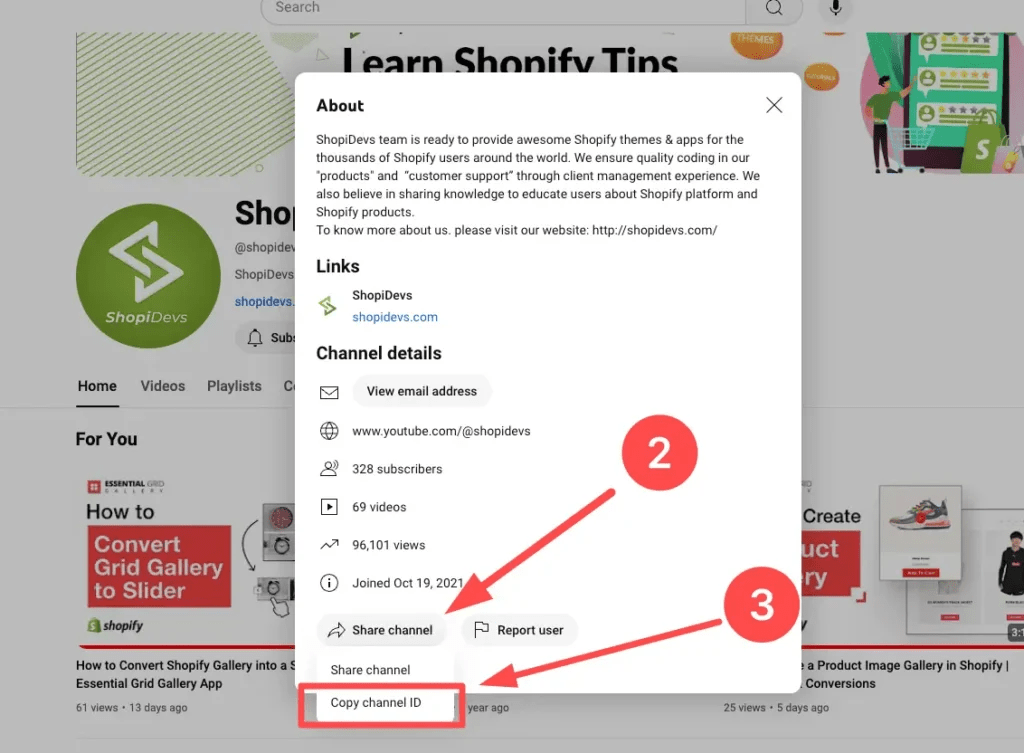 How to Get Youtube Channel ID? Shopidevs Shopify Developers