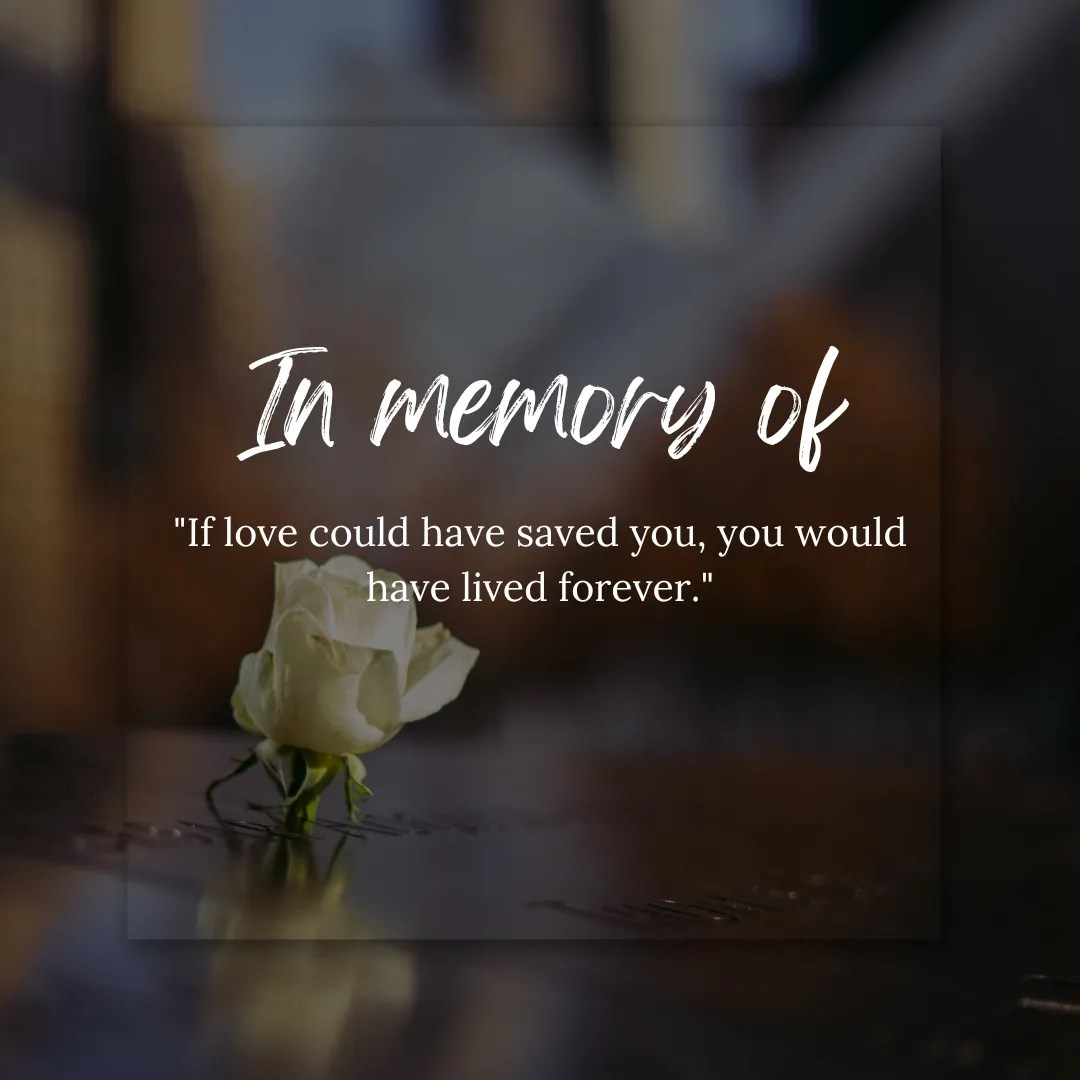 Quotes About Remembering Loved Ones 75+ Grief Quotes To Give You(01)