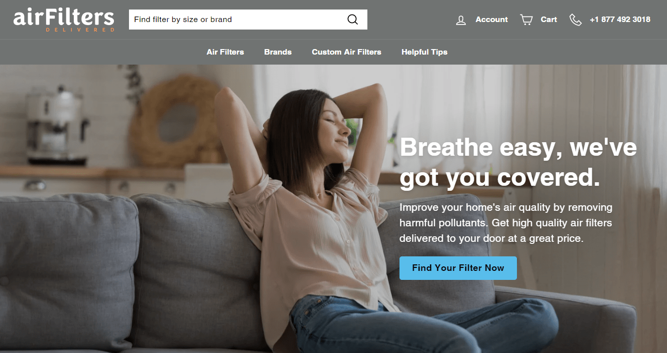 Air Filters Delivered Reviews