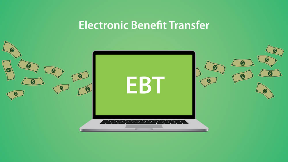 What Stores Accept Ebt Online? (10 Major Stores)