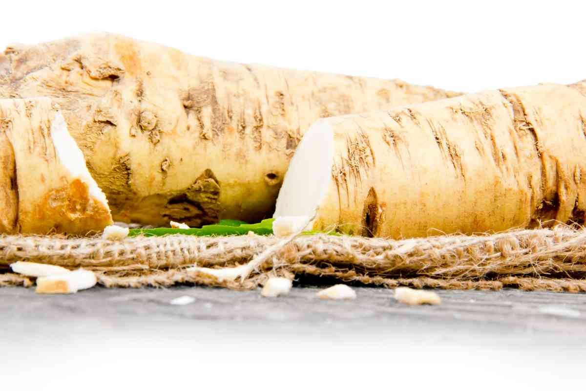 Where To Find Horseradish In Grocery Stores