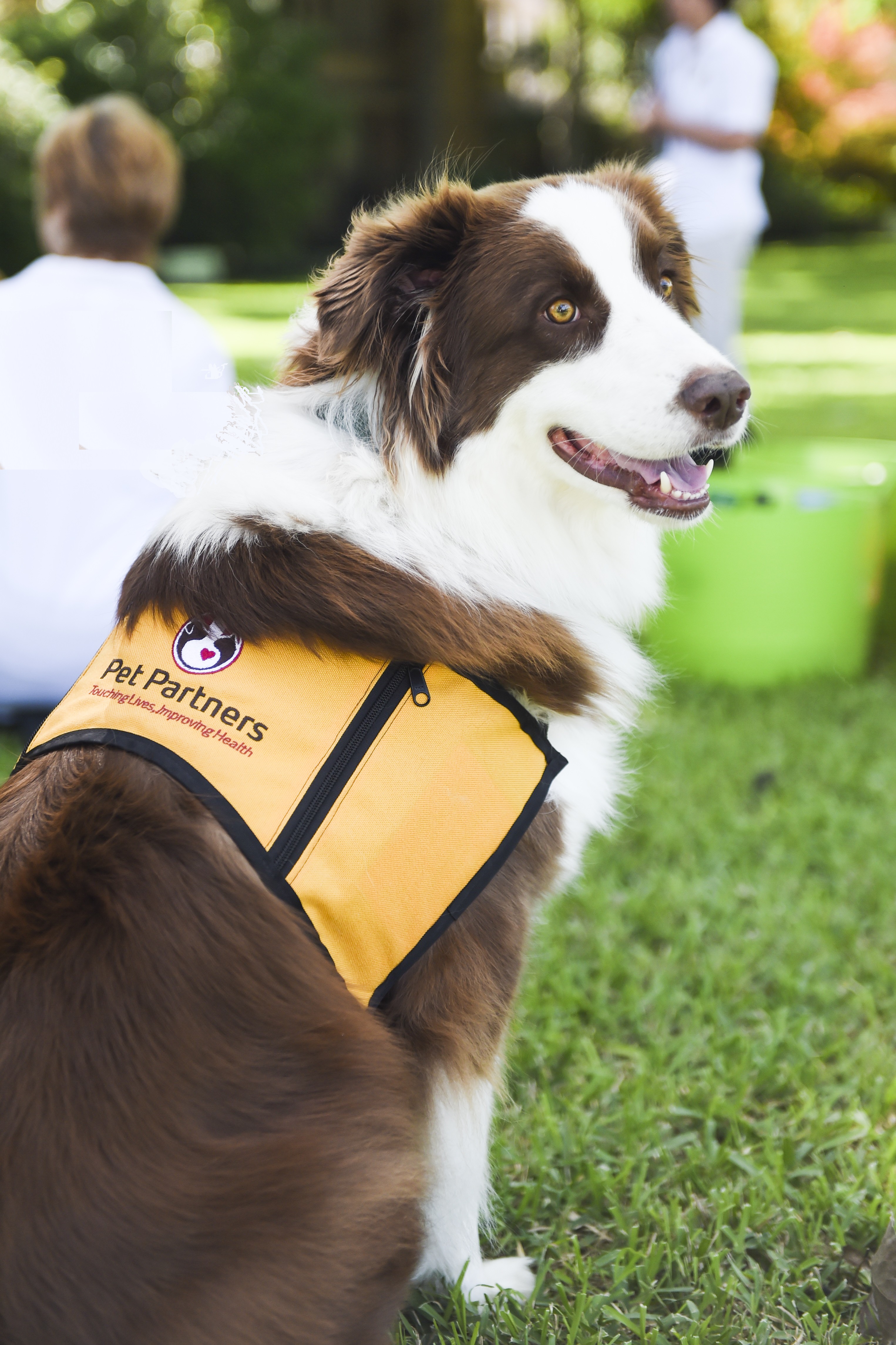 Home Shop Pet Partners