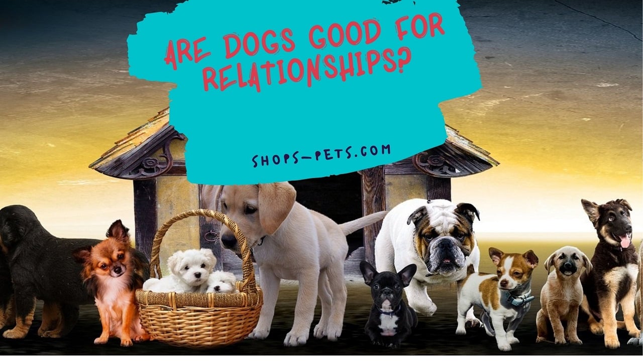 Are Dogs Good For Relationships? Shops Pets