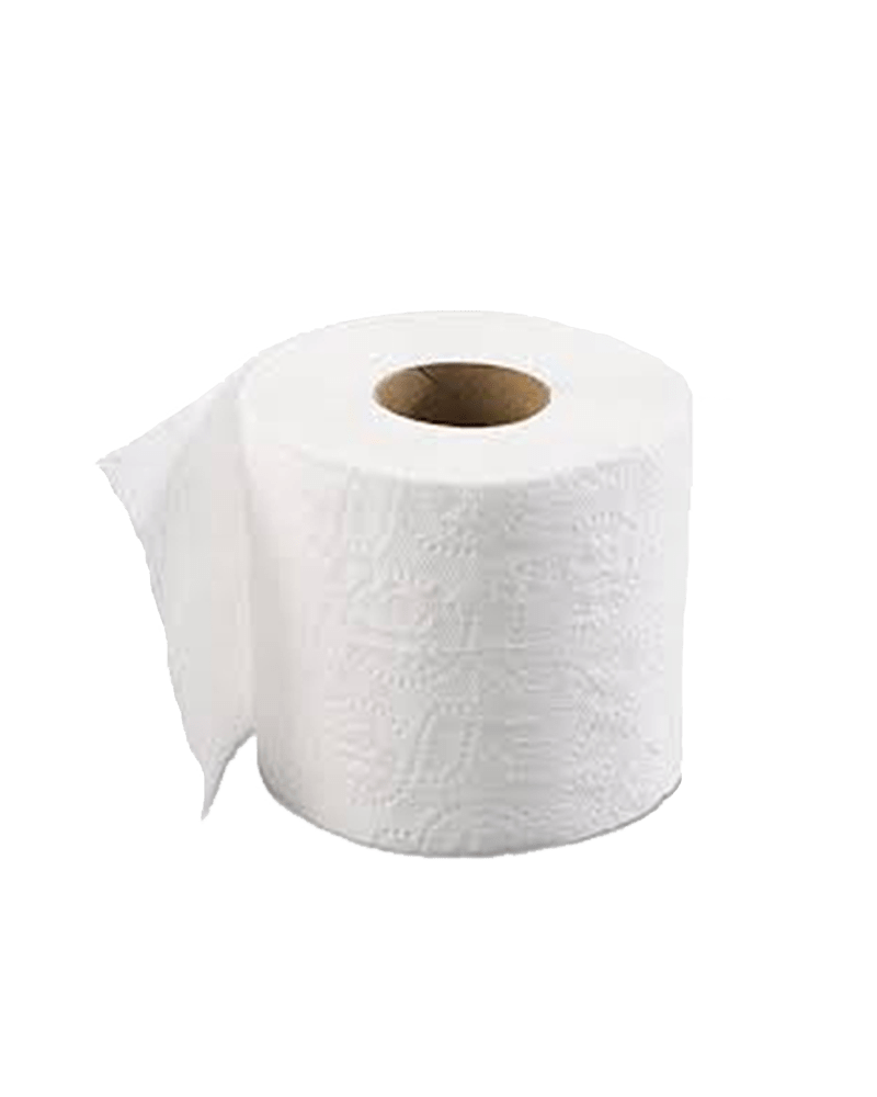 Toilet Tissue Sanitation Products