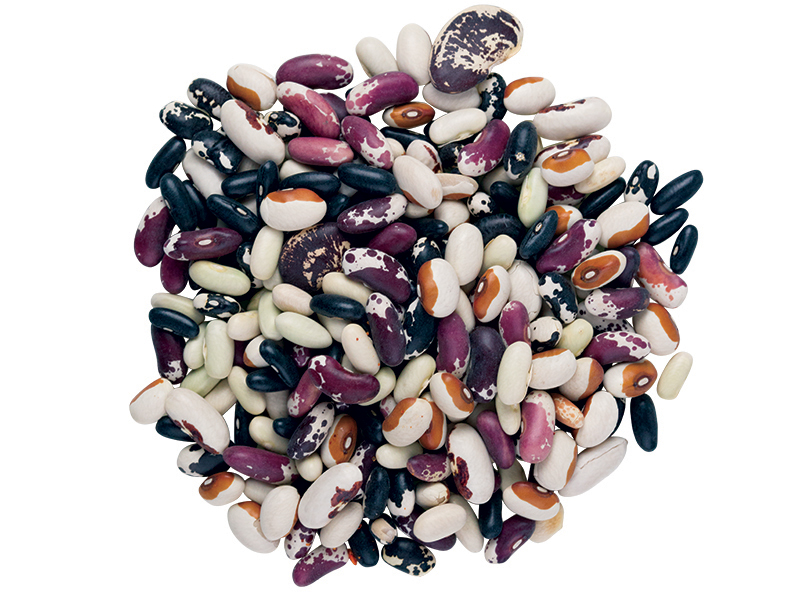 Organic Heirloom Bean Mix SunRidge Farms