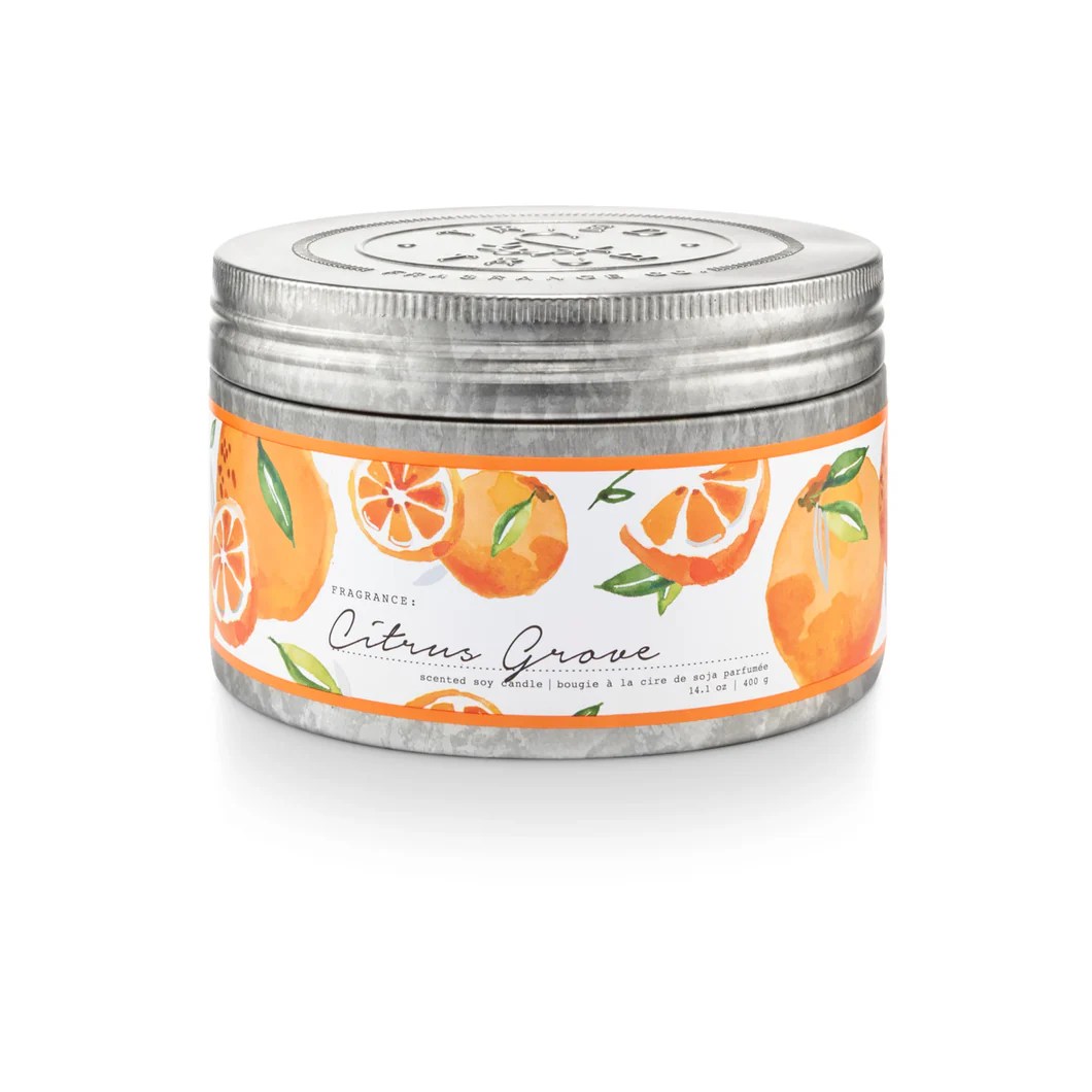 Citrus Grove Large Tin Candle The Truffle Pig