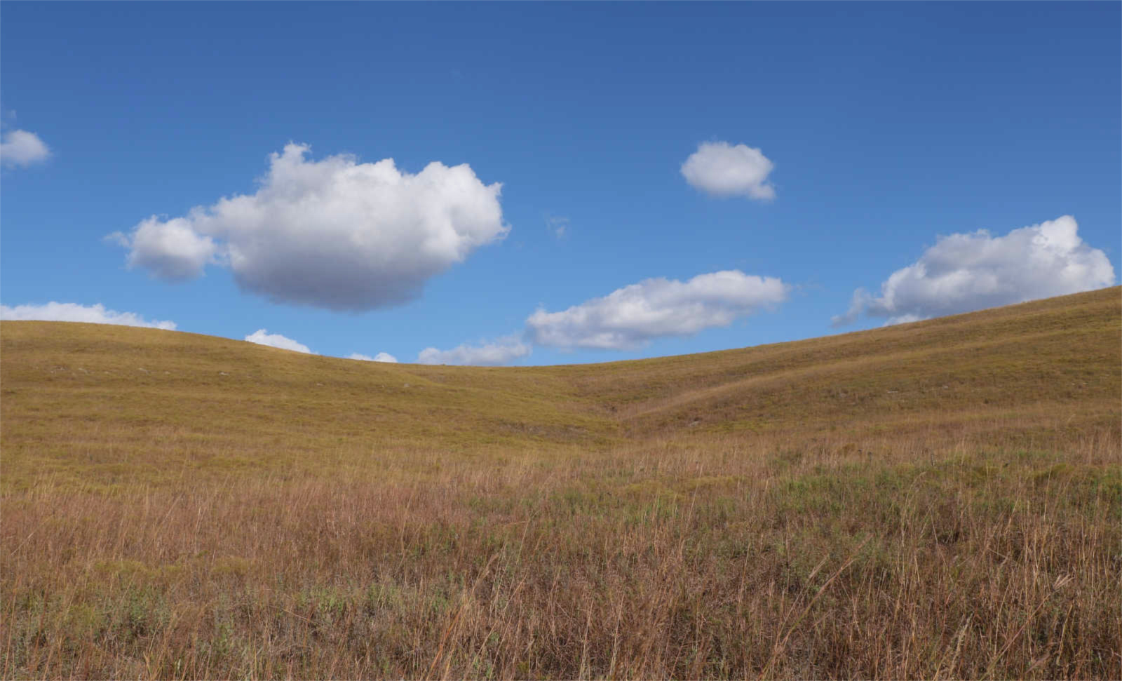 Prairies and People and Photos, Oh, My! The Task at Hand