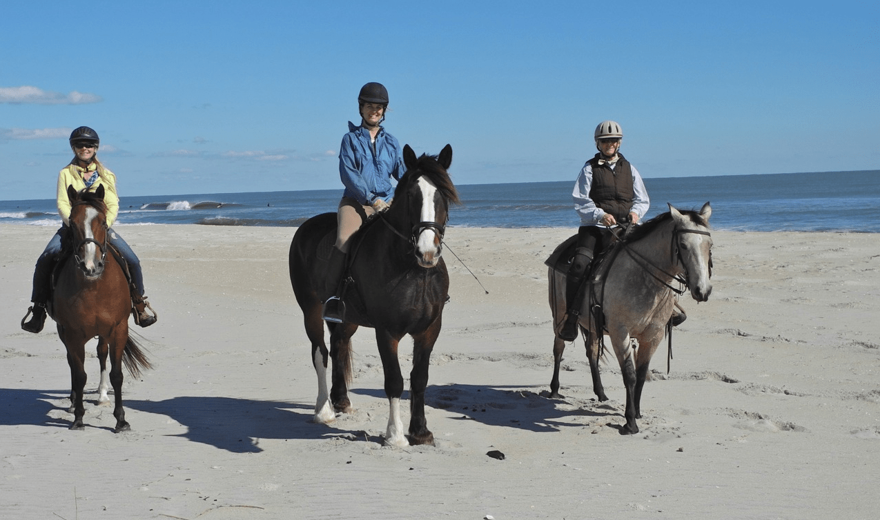 A Fresh Perspective Riding the Beaches on Horseback Shorebread