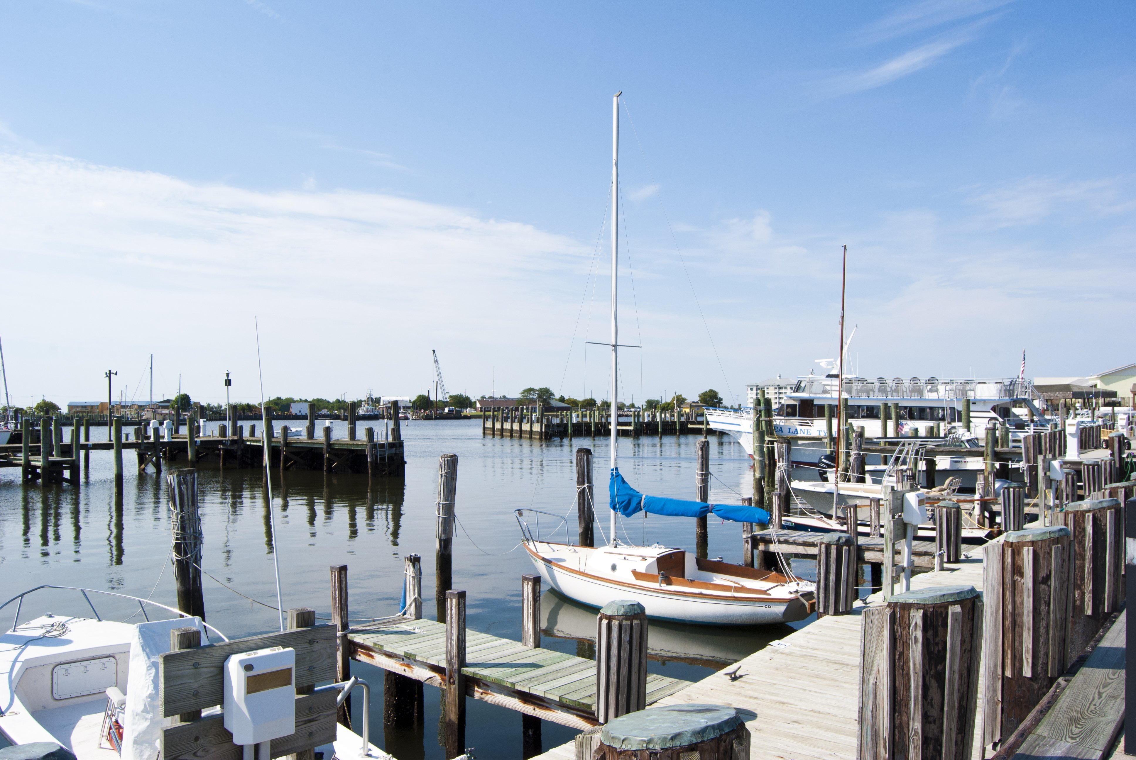 Day Trippin' Crisfield, MD Shorebread